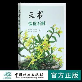 天書 鐵皮石斛 羅仲春 9872 鐵皮石斛原生態(tài)種植技術(shù)要點(diǎn) 識(shí)別要點(diǎn) 原生態(tài)栽培 中國林業(yè)出版社暢銷書