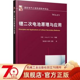 国际电气工程先进技术译丛：锂二次电池原理与应用