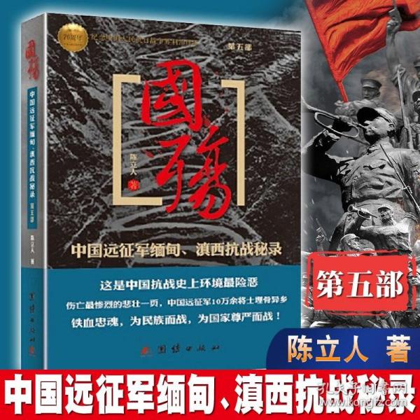 国殇（第5部）：中国远征军缅甸、滇西抗战秘录