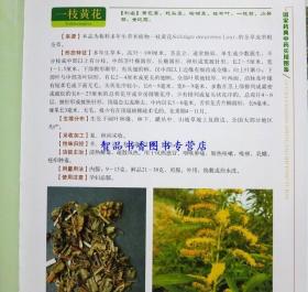 正版现货 国家药典中药实用图鉴彩图版全3册精装 中草药中药材饮片彩色图谱大全 本草纲目彩图中草药大全白话文中医学养生保健书籍