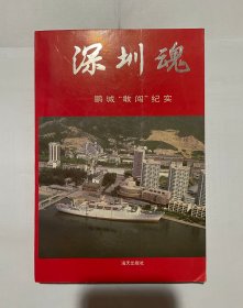 深圳魂：鹏城“敢闯”纪实