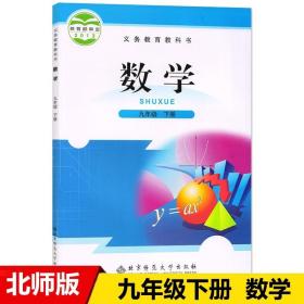 数学 : 彩版. 九年级. 下册