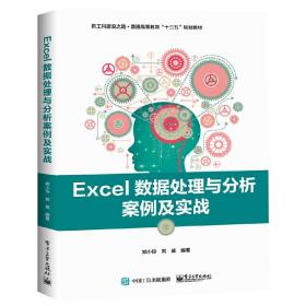 Excel数据处理与分析案例及实战