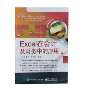 Excel在会计及财务中的应用