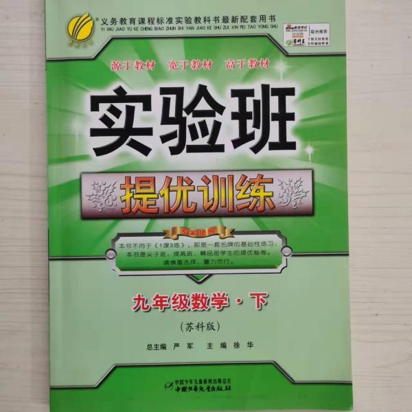 实验班提优训练：9年级数学（下）（国标人教版）