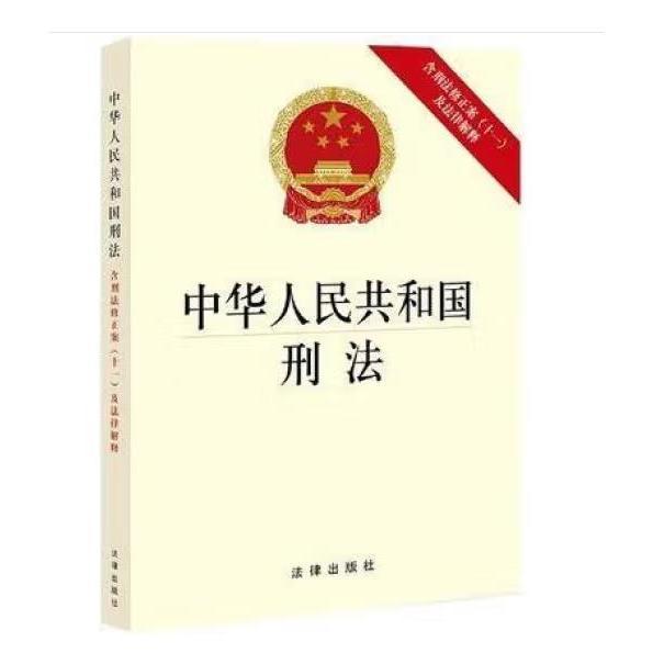 中华人民共和国刑法（含刑法修正案(十一)及法律解释） [法律出版社著]