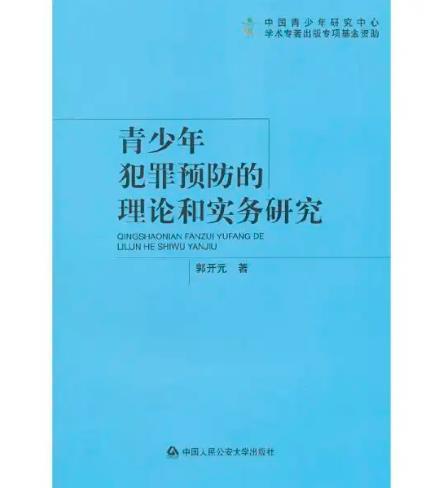 青少年犯罪预防的理论和实务研究