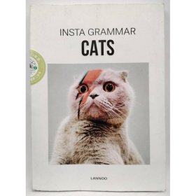 Insta Grammar Cats Irene Schampaert