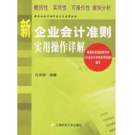 新企业会计准则实用操作详解