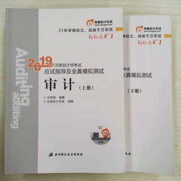 注会会计职称2019教材辅导东奥2019年轻松过关一《2019年注册会计师考试应试指导及全真模拟测试》审计（上下册）