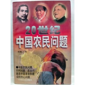 20世纪中国农民问题 林虹