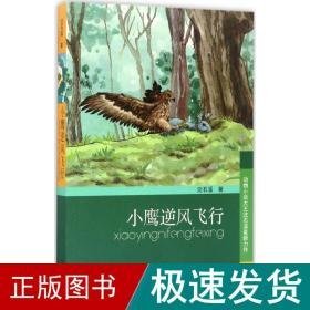 小鹰逆风飞行 儿童文学 沈石溪 著 新华正版