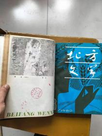 北方文学合订本（精装）（【1】1964年1-6,【2】1964年7-12,【3】1965年1-6,【4】1965年7-12,【5】1966年1-4，注：至此停刊，【6】1978年7-12，【7】1979年1-6，【8】1980年7-12。8本合售）