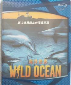 海洋世界