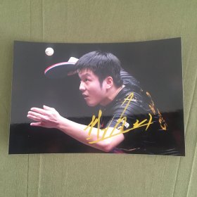 樊振东 Fan Zhendong 亲笔签名照片  乒乓球运动员 6寸 2023A