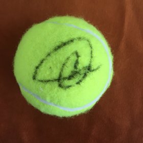 诺瓦克·德约科维奇（Novak Djokovic）亲笔签名网球 体育周边纪念品收藏品 网球运动员 2023