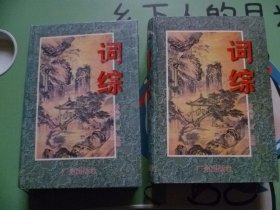 词综上下全精装