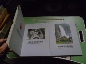 杨国栋绘画艺术专辑：杨国栋写生画选辑十杨国栋电影宣传画集