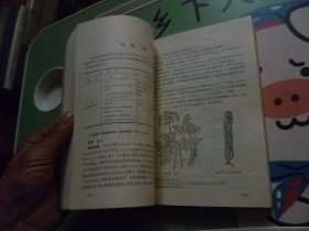 中药鉴别手册第二册