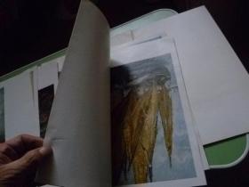 19.20世纪罗马尼亚绘画选【活页16张】12开