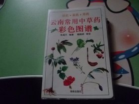 云南常用中草药彩色图谱