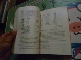 中药鉴别手册第二册