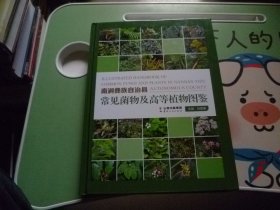 南澗彝族自治縣常見(jiàn)菌物及高等植物圖鑒