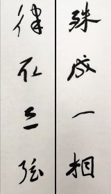 周剑初(湖南隆回人。中国书法家协会理事 、中华诗词学会会员)书法对联