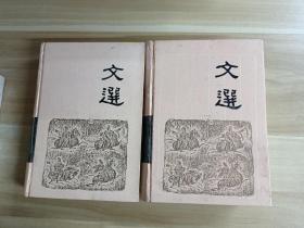 文选（全两册）