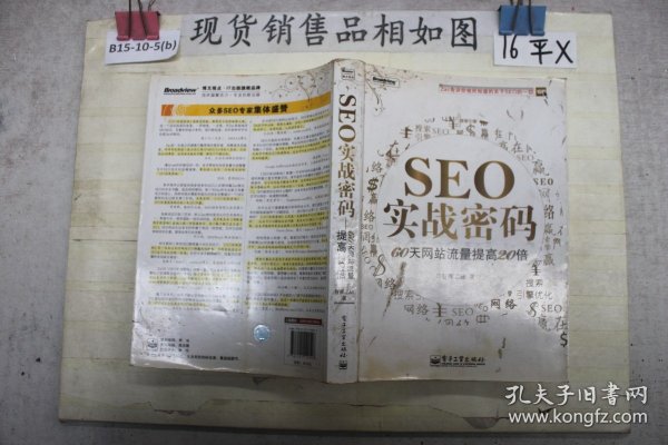 SEO实战密码：60天网站流量提高20倍