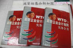 WTO与最新企业会计准则实务全书（上中下）三本合售