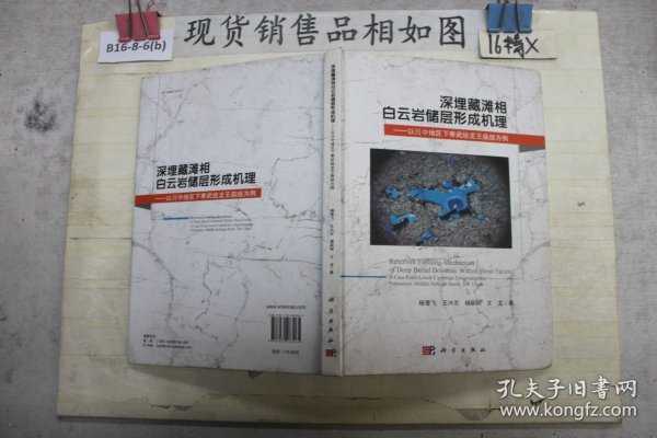 深埋藏滩相白云岩储层形成机理：以川中地区下寒武统龙王庙组为例