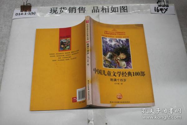 中国儿童文学经典书系：刚满十四岁