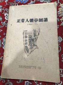 正常人体学图谱（手绘油印本） 北京市宣武医院护士学校 刻印