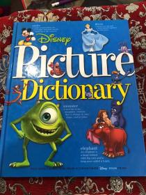 DISNET PICTURE DICTIONARY