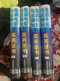 偷漏電防范與法律處理【16開(kāi) 四卷全】