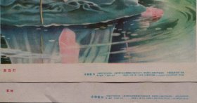 1957年金雪尘年画5张合售（荷花灯、蜜桃、柚子、新疆舞、青春舞）