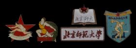 北京师大校徽5枚（9-95品）