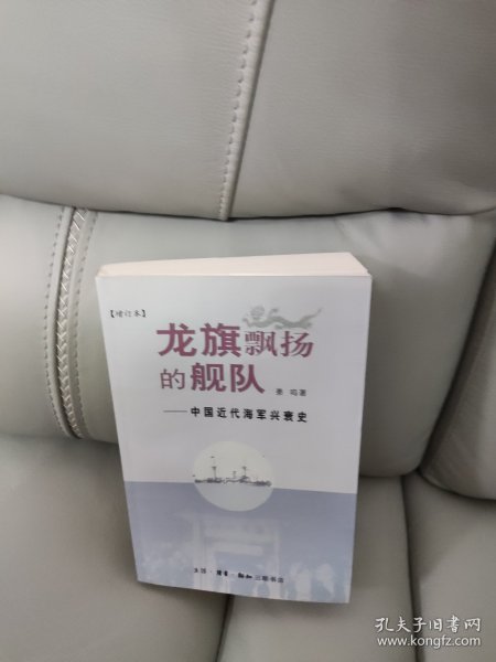 龙旗飘扬的舰队：中国近代海军兴衰史