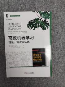 高效机器学习：理论、算法及实践