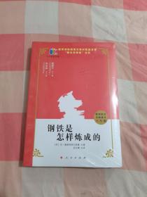 钢铁是怎样炼成的 （教研配套名师批注 八年级）【全新】