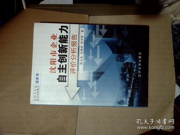 沈阳市企业自主创新能力评价分析报告