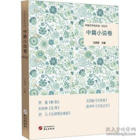 中国文学佳作选:2022:中篇小说卷 中国现当代文学 王晓编 新华正版