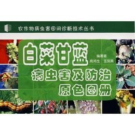 白菜甘蓝病虫害及治原图册 种植业 商鸿生，王凤葵  编 新华正版