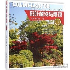 彩叶植物与景观 园林艺术 王钺，朱红霞 新华正版