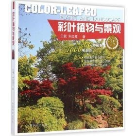 彩叶植物与景观 园林艺术 王钺，朱红霞 新华正版