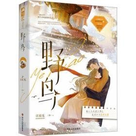 野鸟 青春小说 作者 新华正版