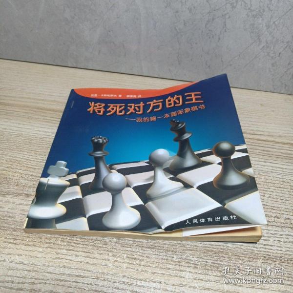 将死对方的王：我的第一本国际象棋书