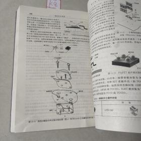 高级电子封装（原书第2版）