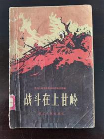 《战斗在上甘岭》